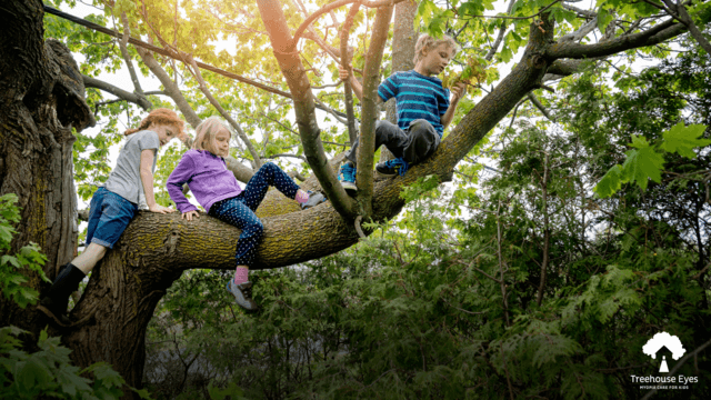 treehouse blog image 1.png